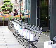 LADY 12 CELEBRITY FASHION SHOW